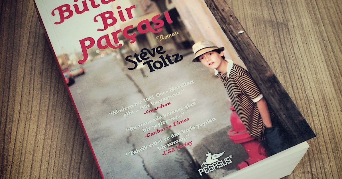 Steve Toltz Bütünün Bir Parçası Kitaplık Manzaraları