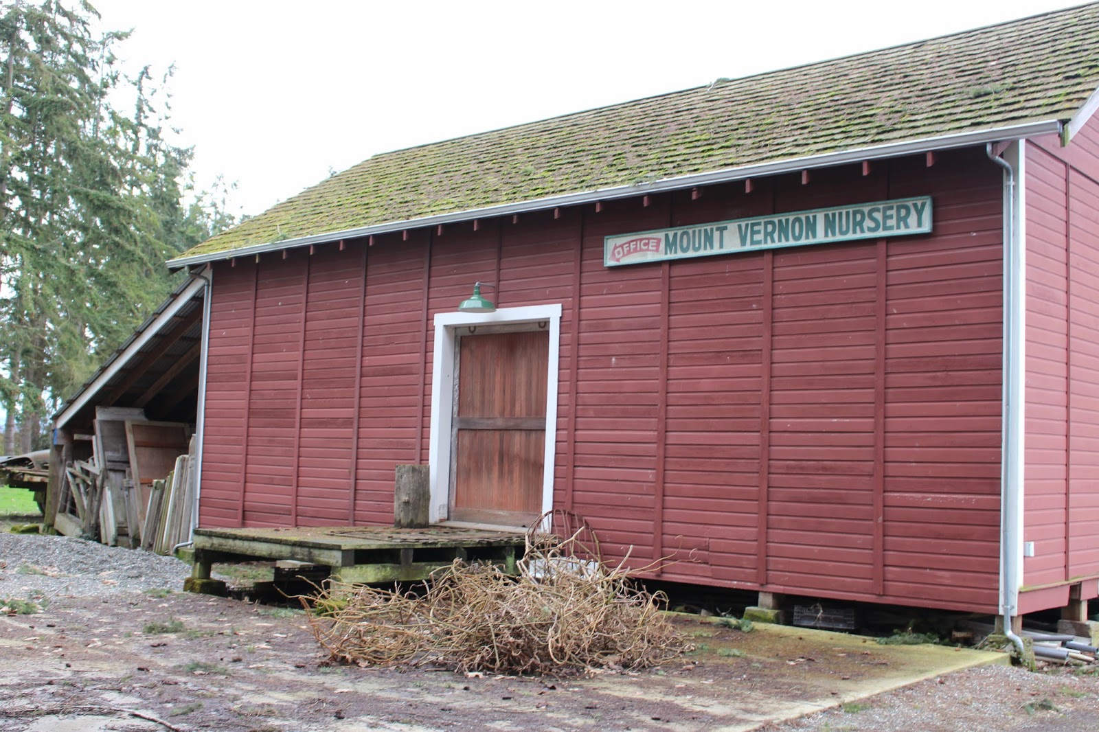 Rooted In Thyme Christianson's Nursery in Mt. Vernon, Washington and