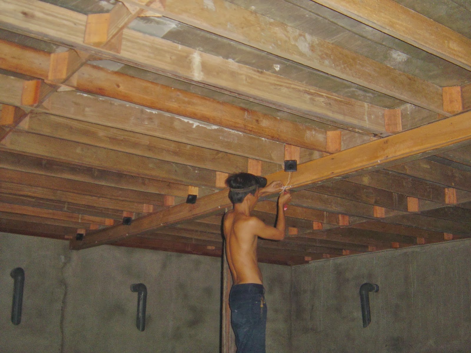 Techno Walet Teknik Pemasangan Tweeter Untuk Memantulkan Efek Multi Bahasa Walet