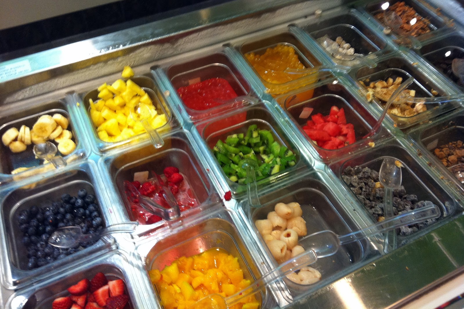 Utah County Mom Yogurtland in Orem