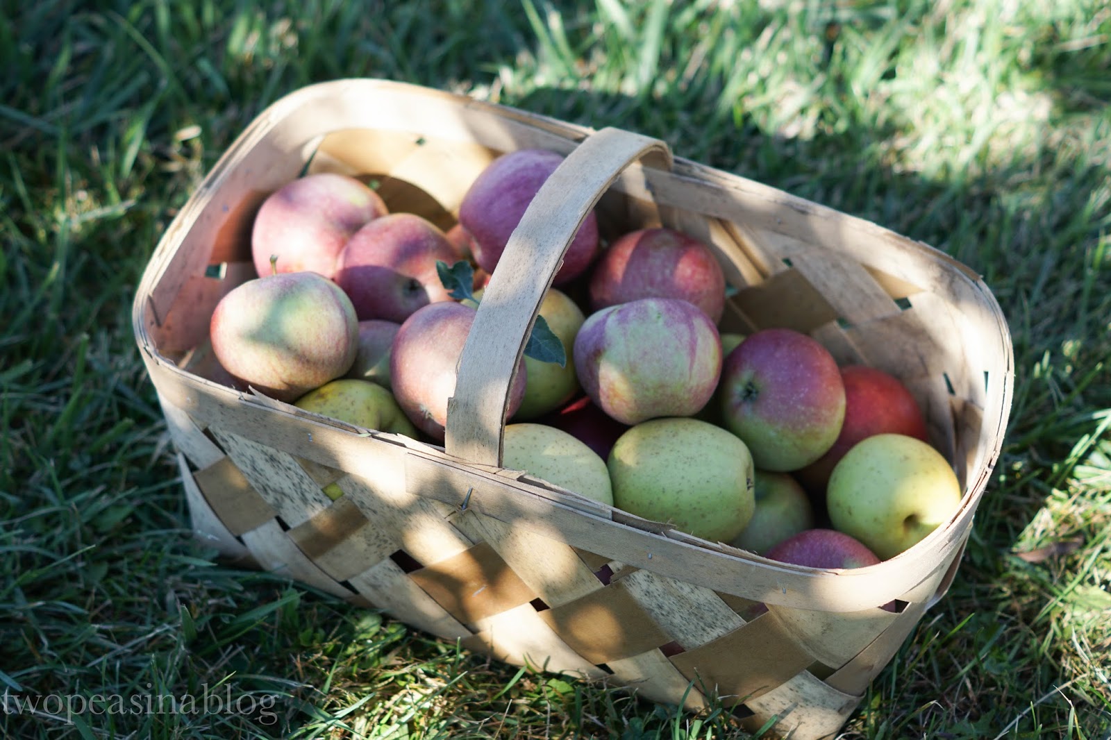 Two Peas in a Blog Apple picking in buffalo plaid + Fall MustDo's