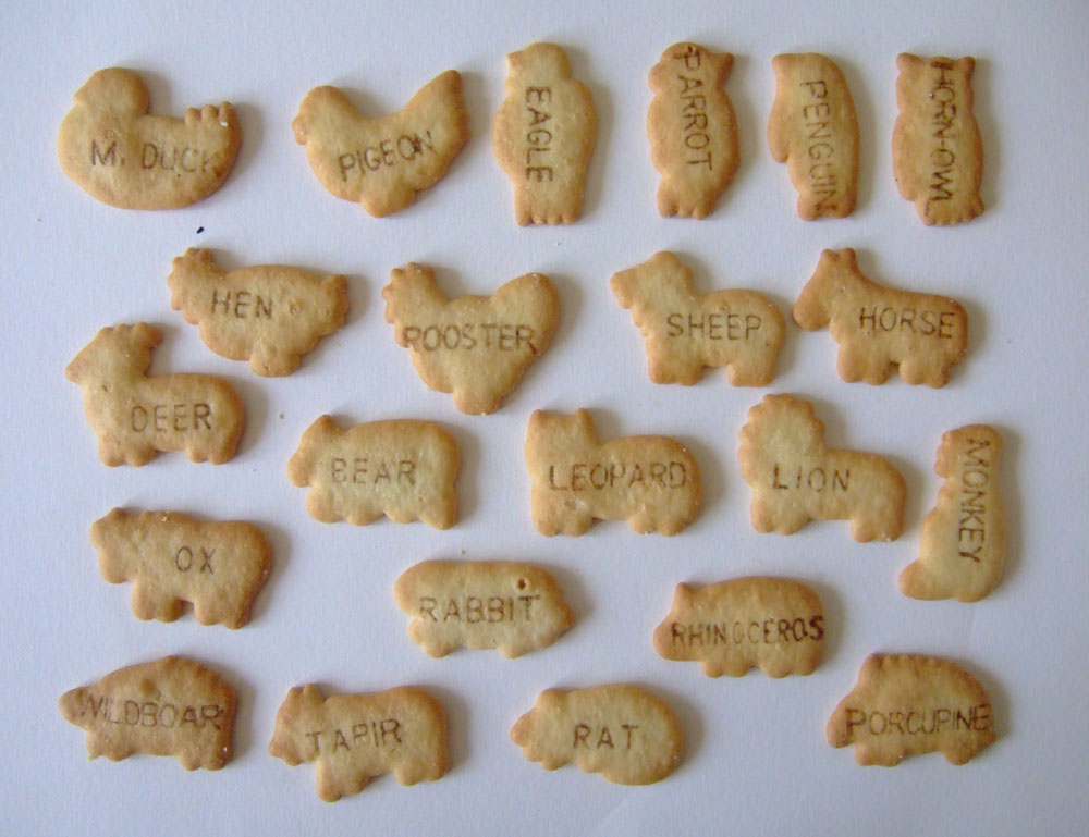 Curious Objects Animal Biscuits