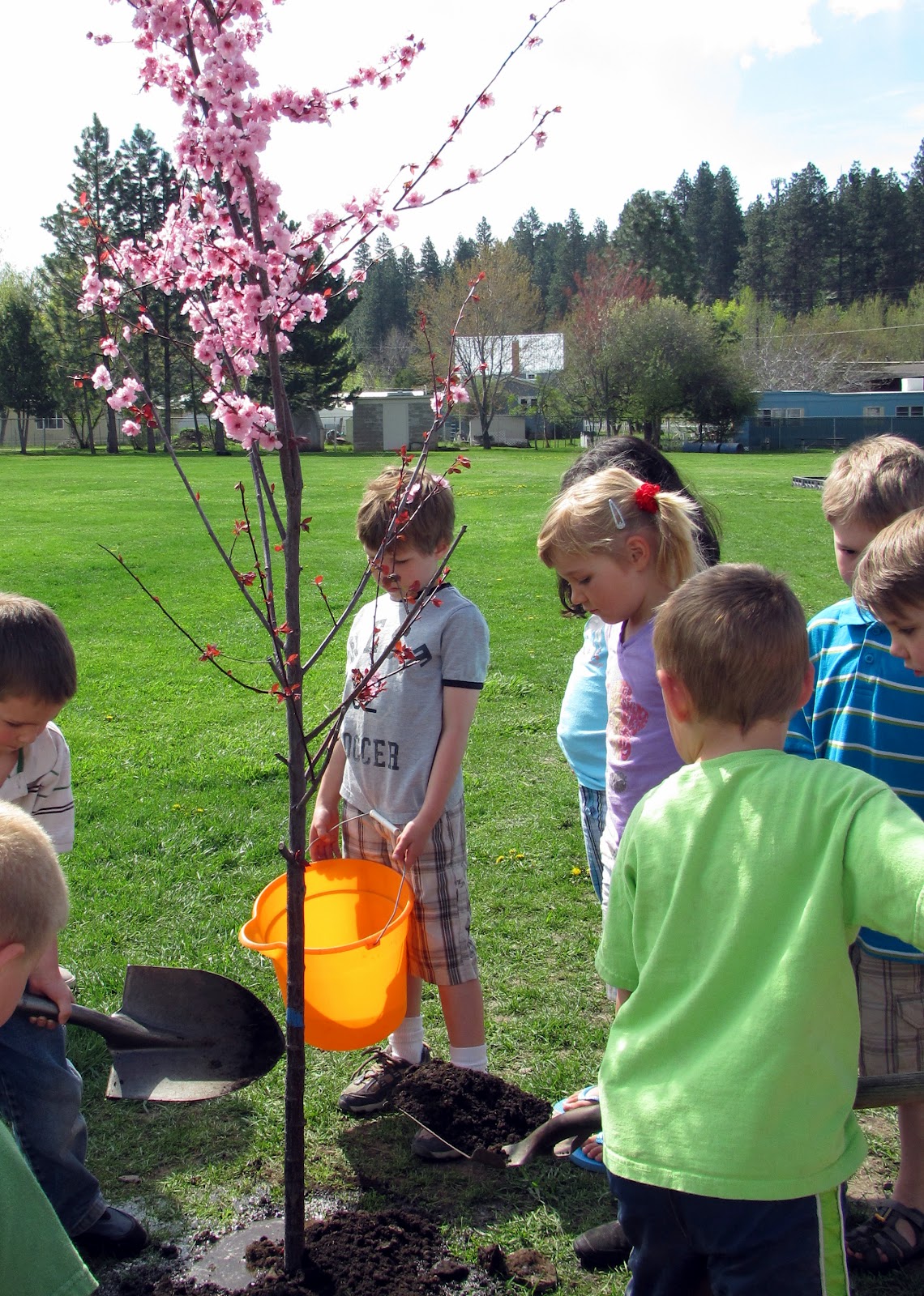 Cove Kindergarten Tree Planting