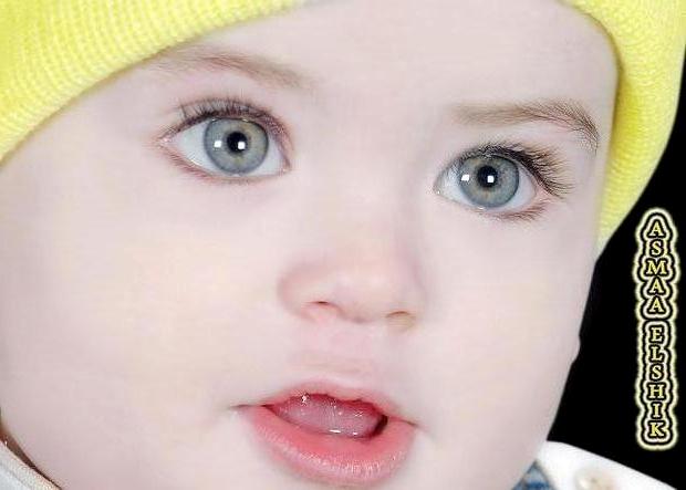 ������ ���� ������ �� ���� ������