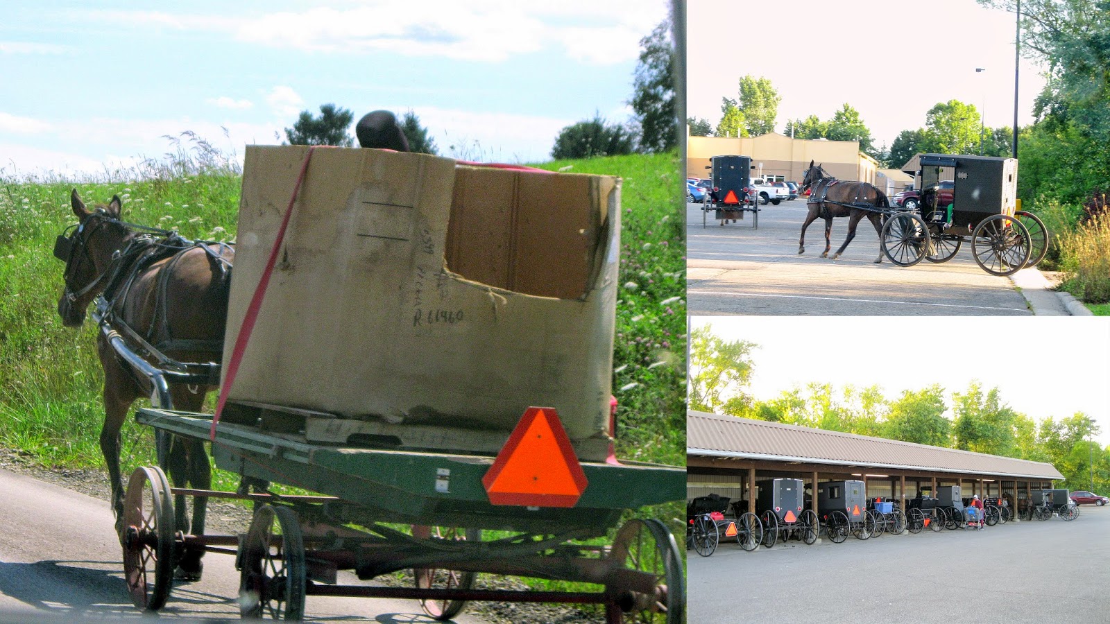 over hill n dale Berlin, Ohio Amish Country