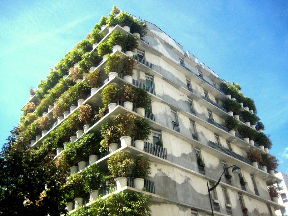 The Tower Flower Invisible Paris