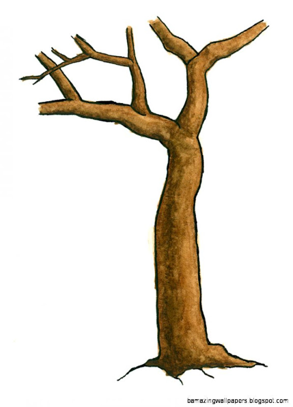 Tree Trunk Clipart Tree Trunk Clipart