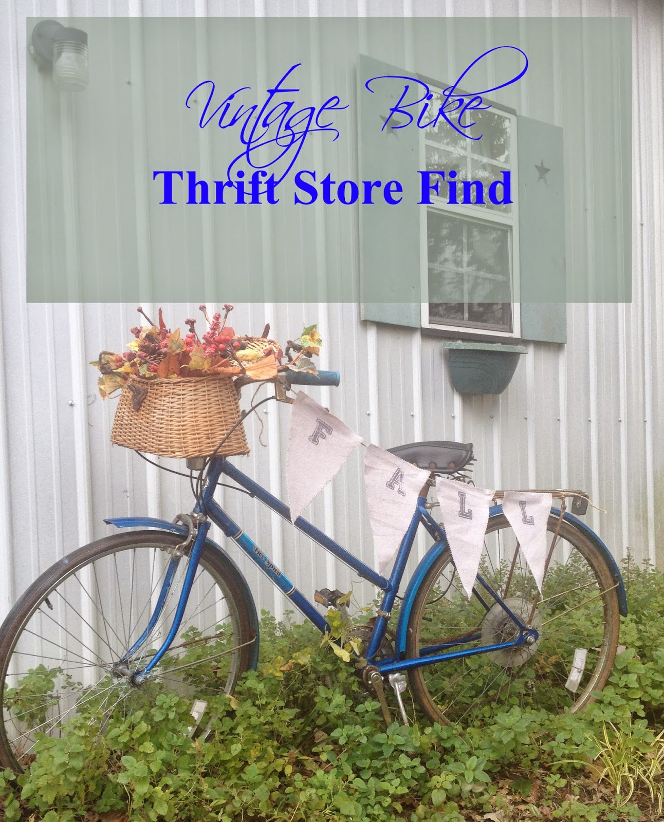 bike thrift store near me