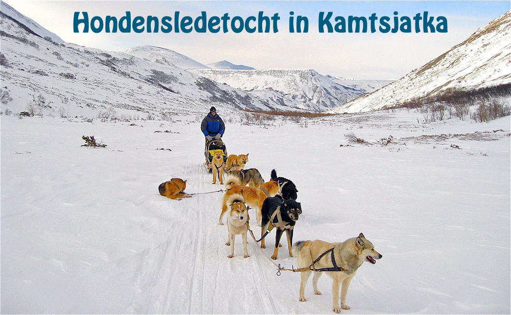 Hondensledetocht Kamtsjatka
