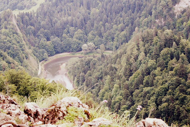 220+(Kopiowanie).JPG