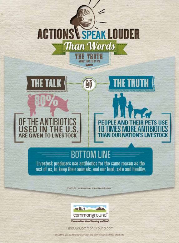 Crystal Cattle Why We Use Antibiotics on our Farm