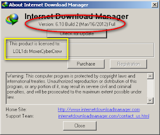 internet download manager 6.10