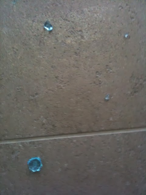 Chenxi's awesome world: A Science Orbeez Experiment