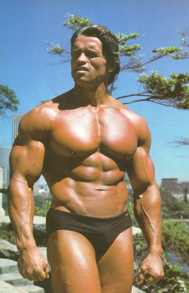 SEARCH AND BUY THIS PRODUCT MUSCLE BUILDING TIPS: TOP 10 BODYBUILDERS