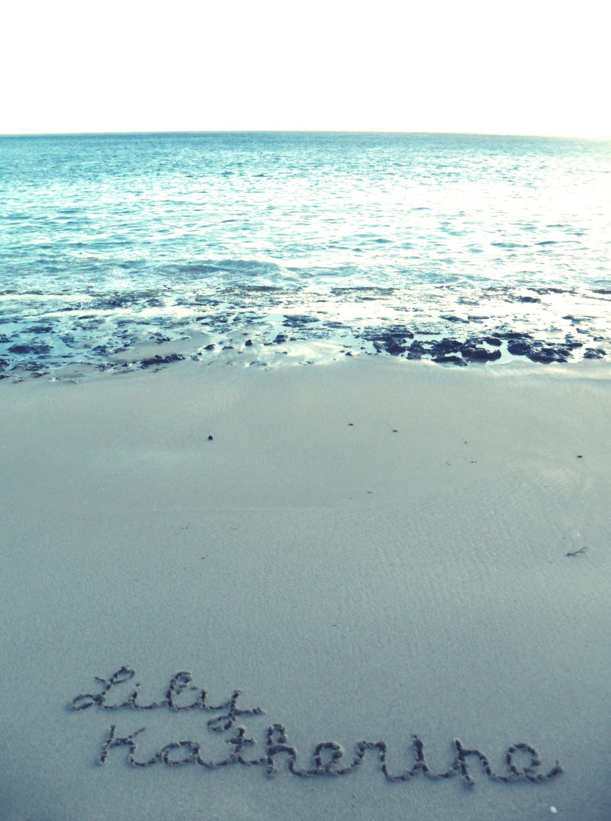 Rose and Her Lily Those Who Share Lily's Name and Birthday