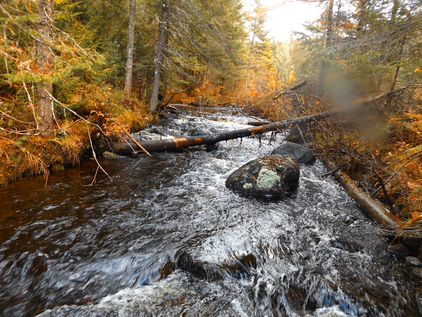 Walking Man 24 7 Wolf Pond(Adirondacks)