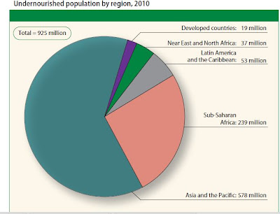 How The United Nations Justifies Mass Genocide World+food