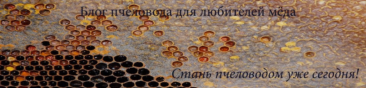 Теле маркетинг что это такое Теле маркетинг что это такое