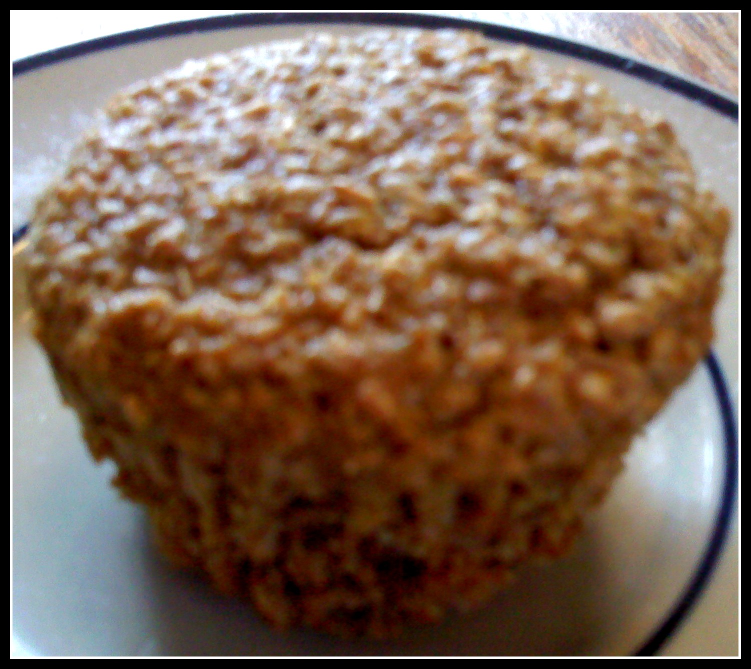 The Walnut Acre Chronicles Applesauce Bran Muffins