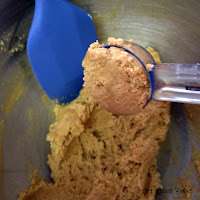 Ginger Snap Cookies and Lime Sandwiches 5 PS+Giger+Lime+Cookies+(8)