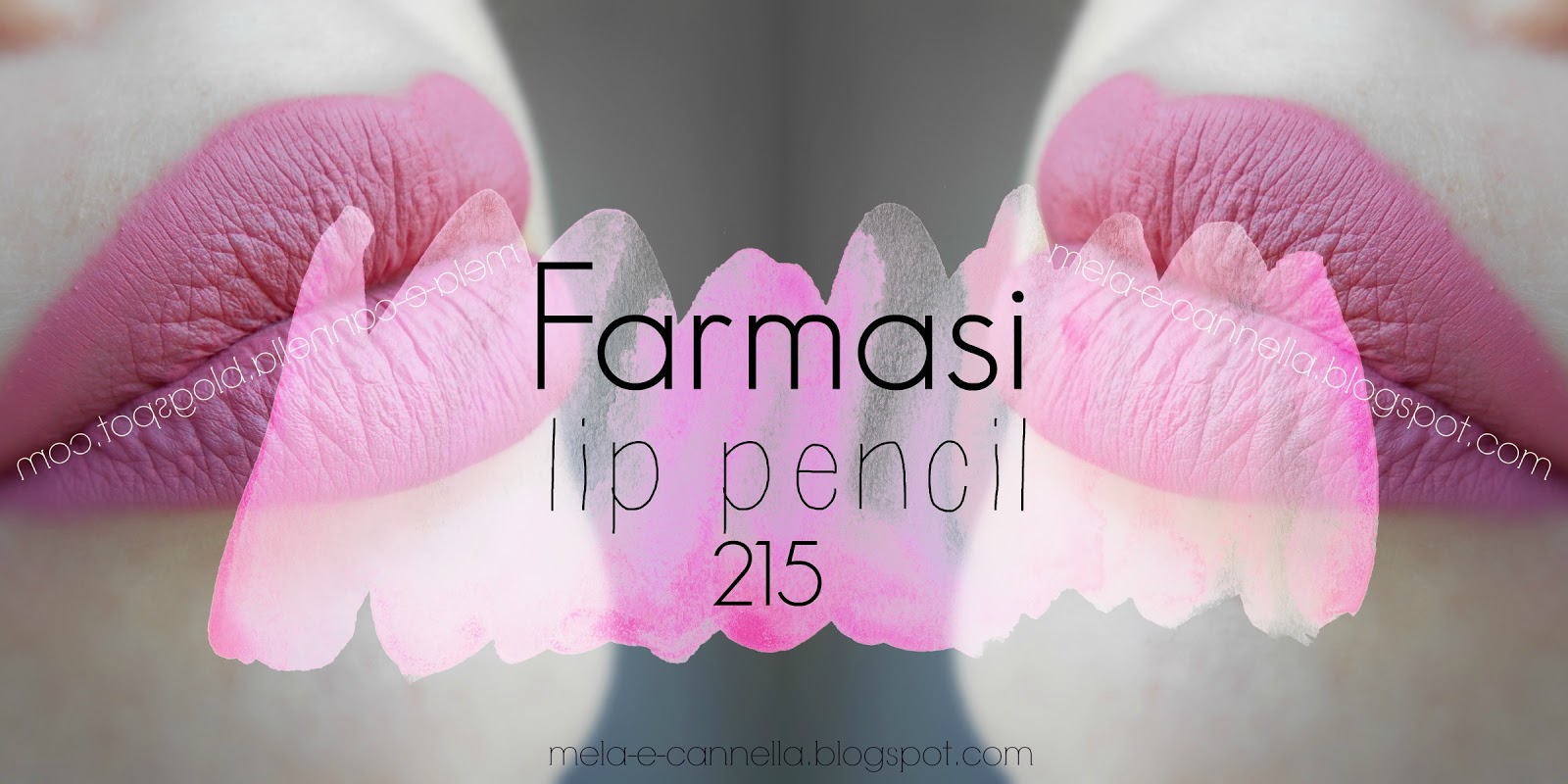 melaecannella Farmasi lip pencil 215
