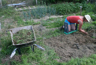 Digging out a new bed Digging out a new bed