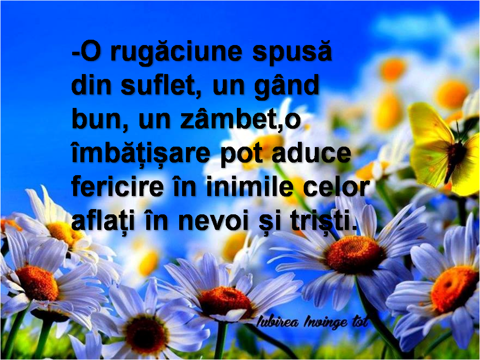 -O rugăciune spusă din suflet, un gând bun, un zâmbet,o îmbățișare pot aduce fericire în inimile ce