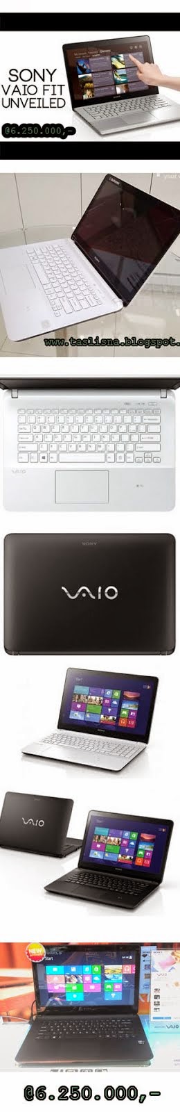 Sony Vaio free Flashdisk Unik
