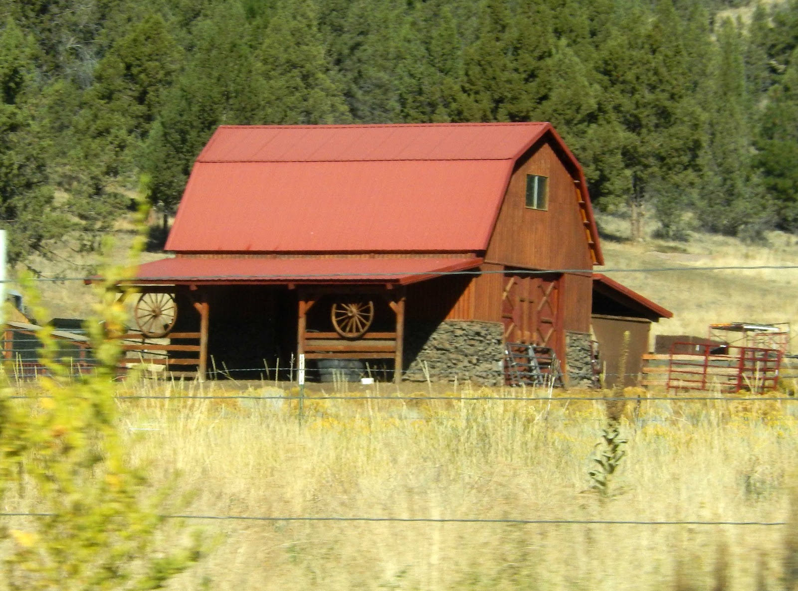 Cat Patches John Day, Oregon, to Home