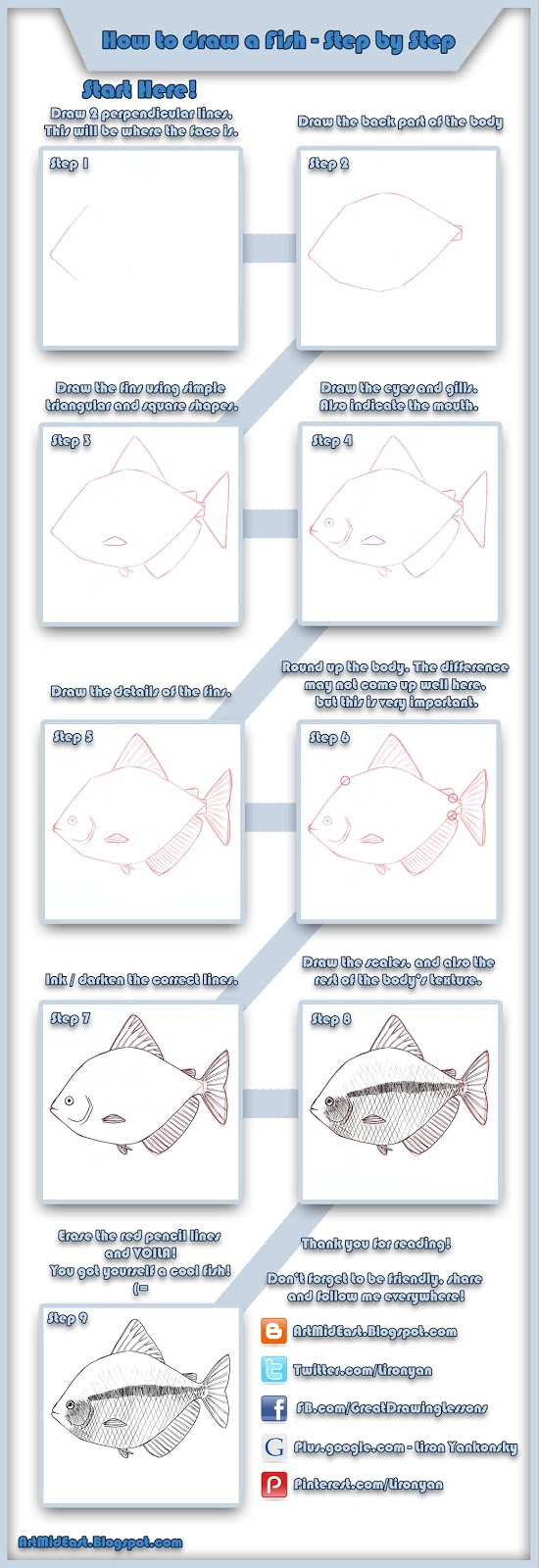 How to Draw a Fish Using Simple Shapes