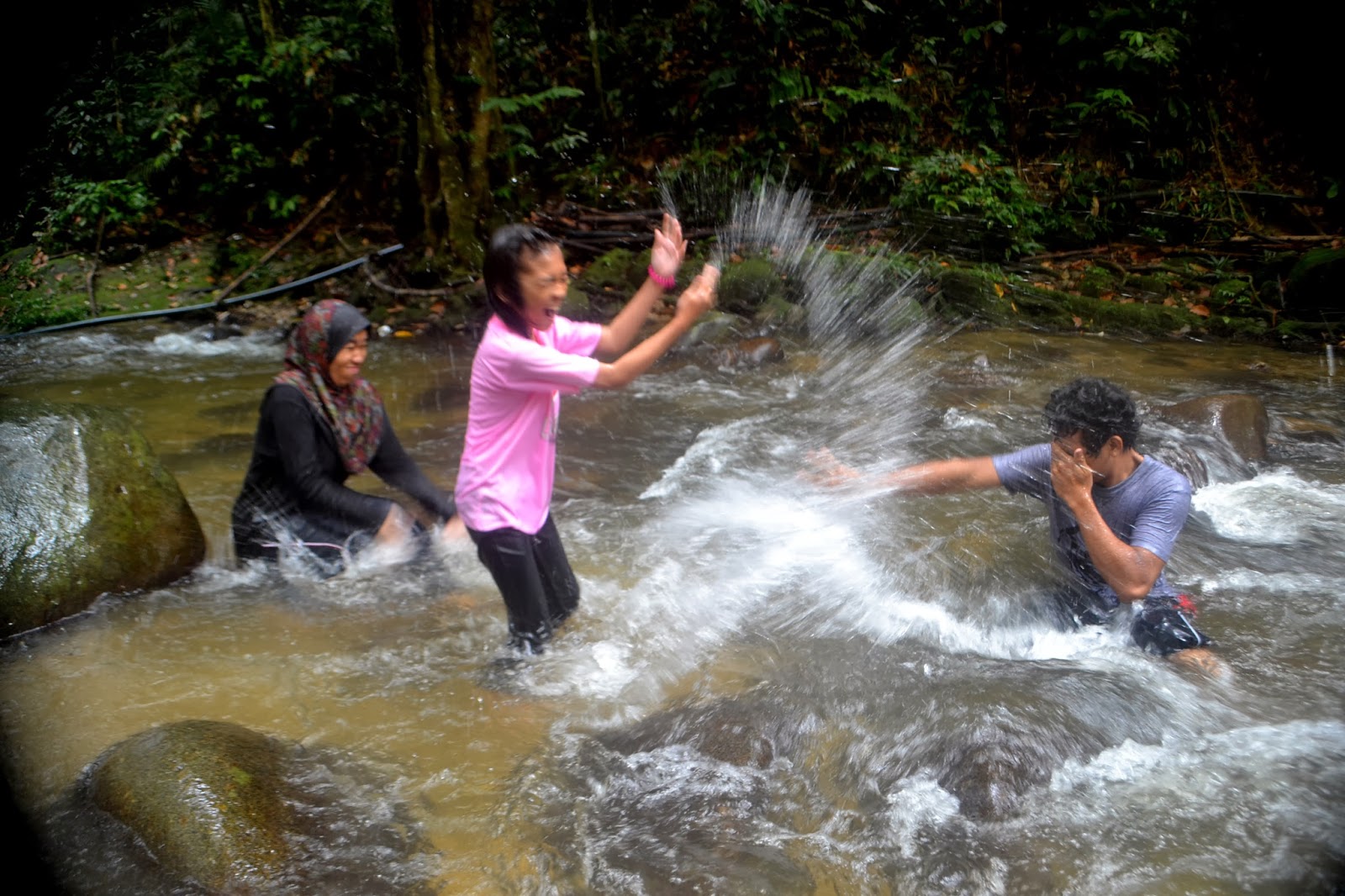 wanita itu aku: LUKISAN ALAM - SG CONGKAK, HULU LANGAT, SELANGOR.