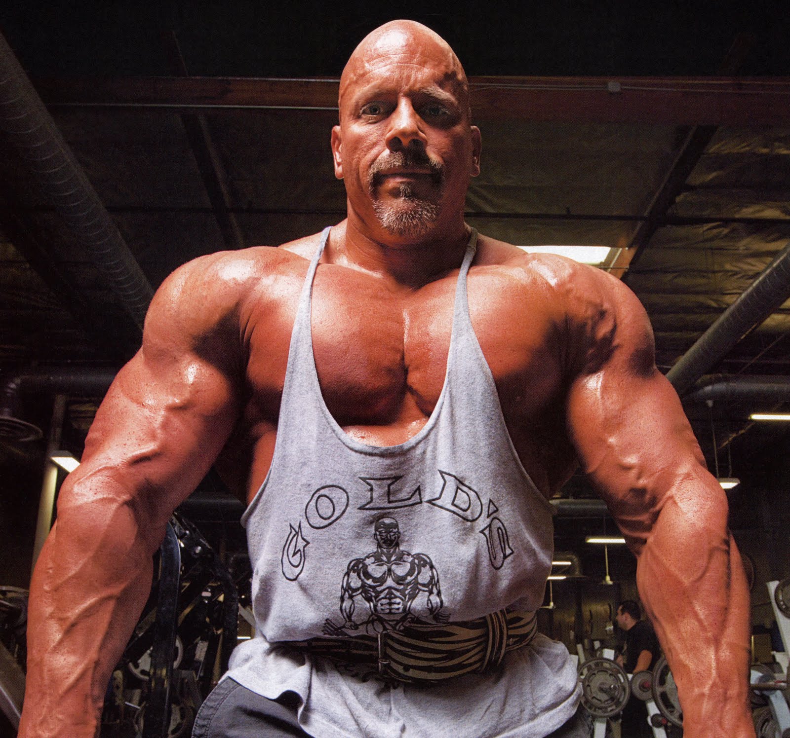 6 Day Stan efferding bodybuilding workout for Fat Body