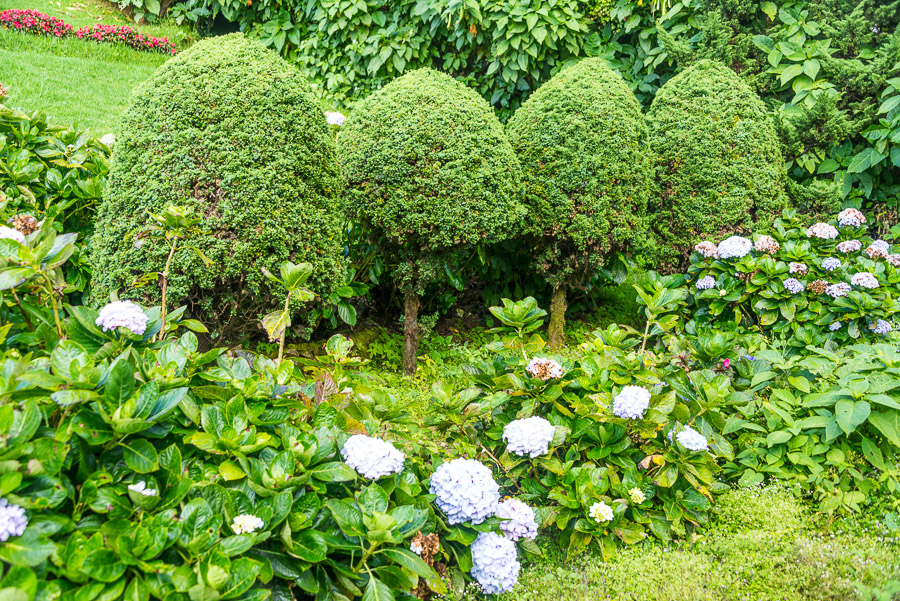 Doi Inthanon National Park