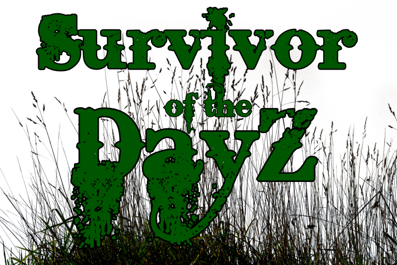 Survivor Of The Dayz