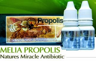 Propolis Melianature