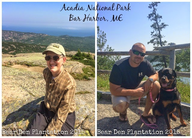 Cadillac Mountain, Acadia National Park Bar Harbor, ME Cadillac Mountain, Acadia National Park Bar Harbor, ME