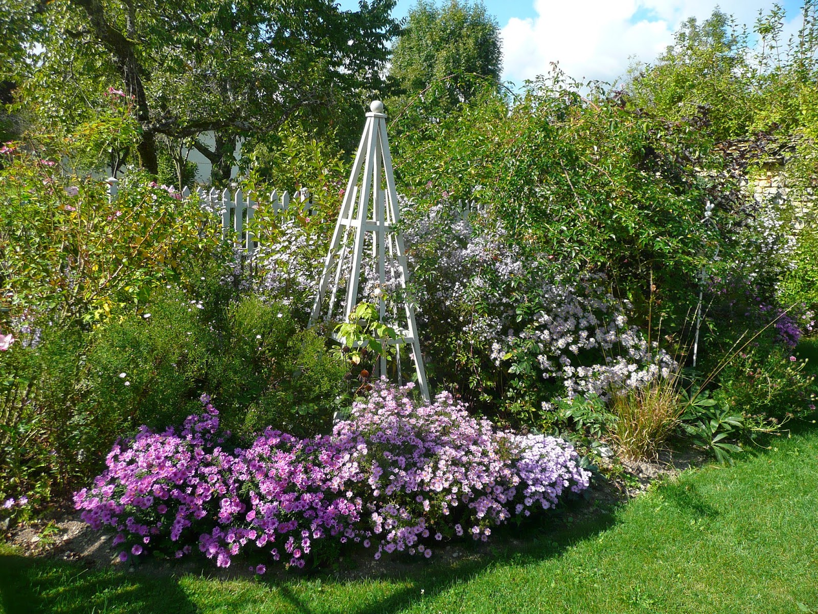 Chigusa Hydrangea Hydrangea Hydrangea Black Diamond Dark Angel