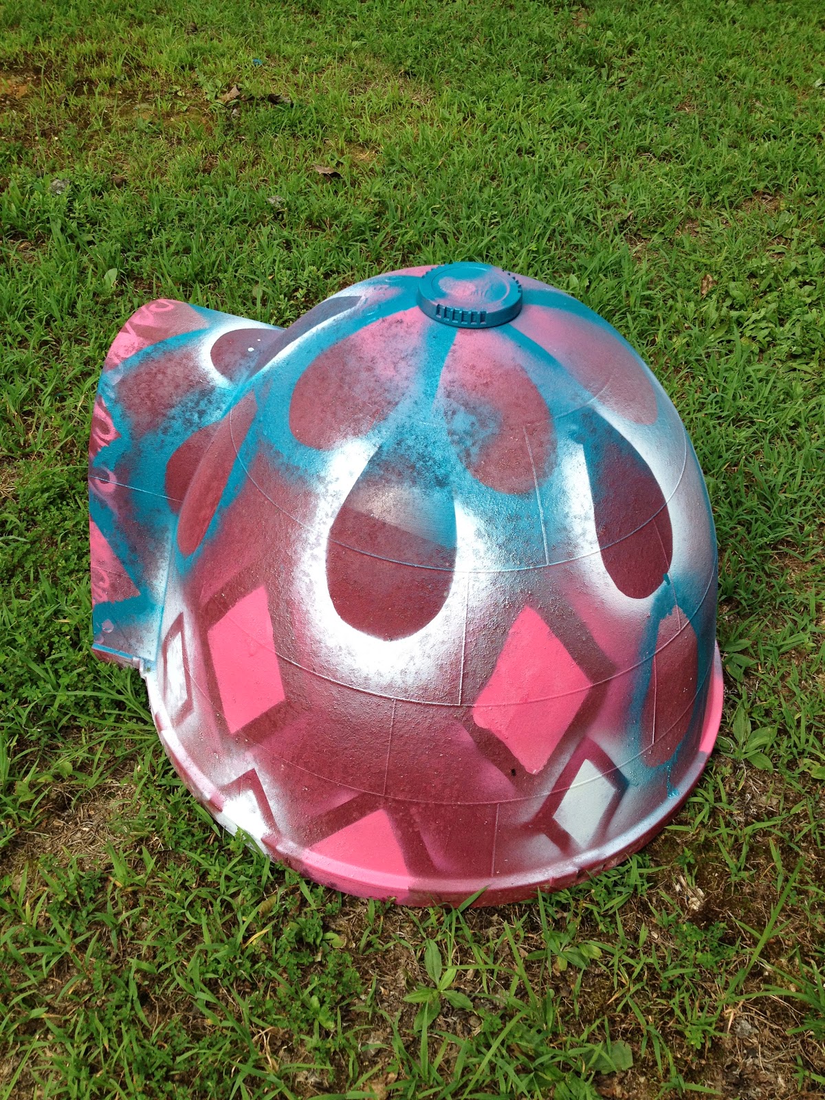 LifeLookLens DIY Doghouse Improving An Igloo