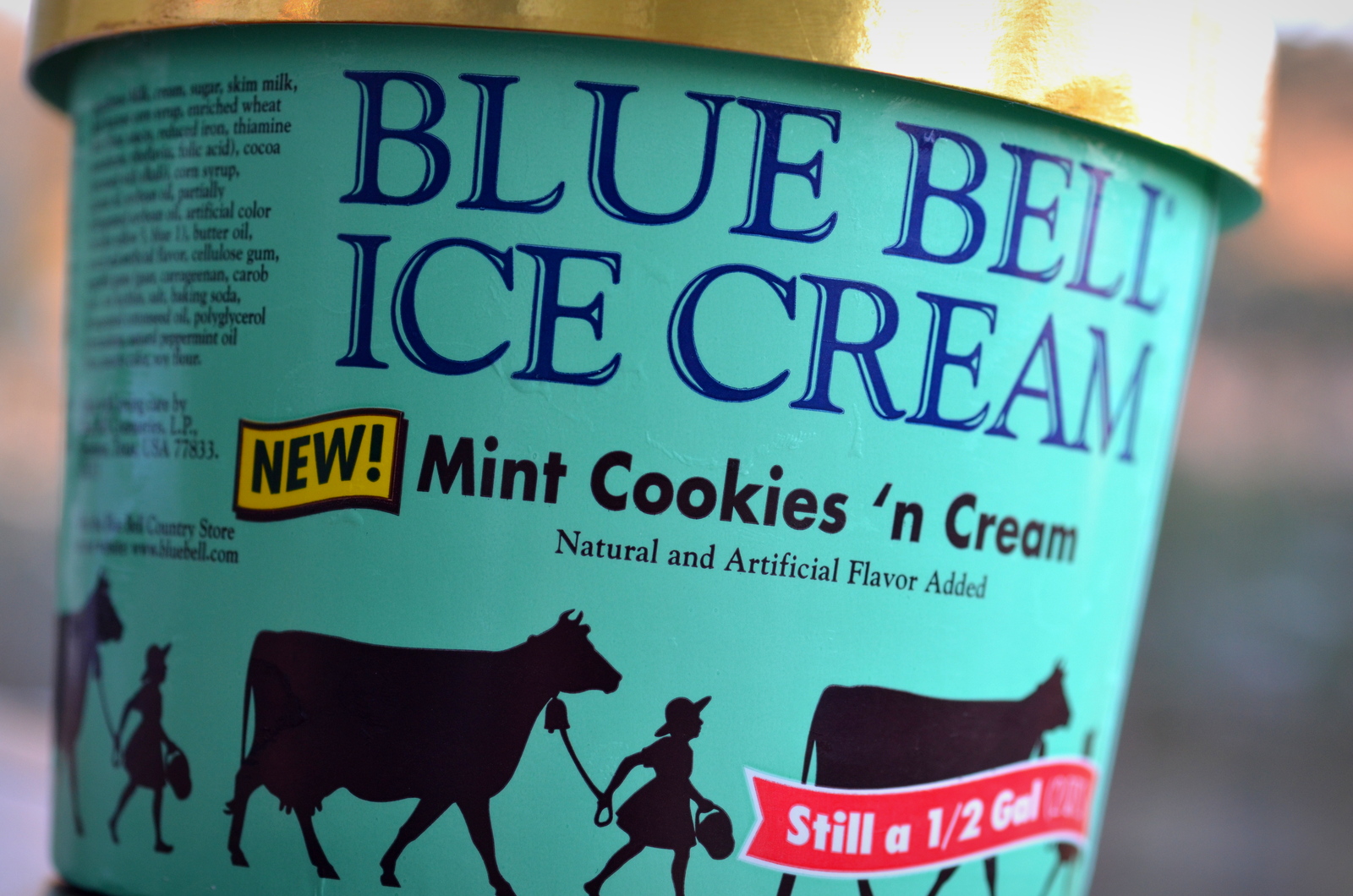 food and ice cream recipes: REVIEW: Blue Bell Mint Cookies 'n Cream