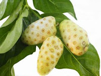 Tekhnik Menghilangkan Ketombe bersama Tekhnik Herbal Tekhnik Menghilangkan Ketombe bersama Tekhnik Herbal