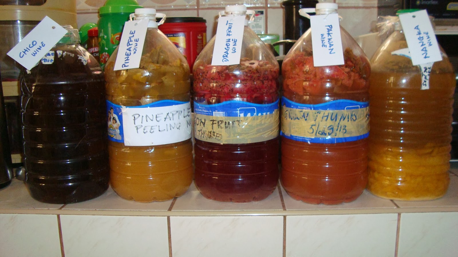 Living with Nature School on Blog by Dr. Abercio V. Rotor Make Fruit