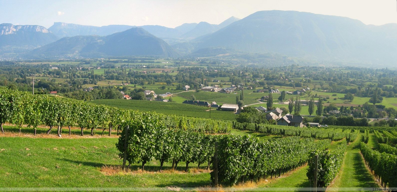 Dessert Wine Names List at Harold Herman blog