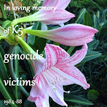 Genocide Victims  of K5 Plan