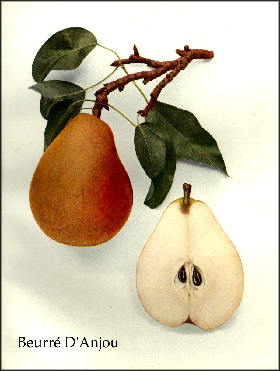 Docaitta Lifestyle The Garden Centres are OPEN!