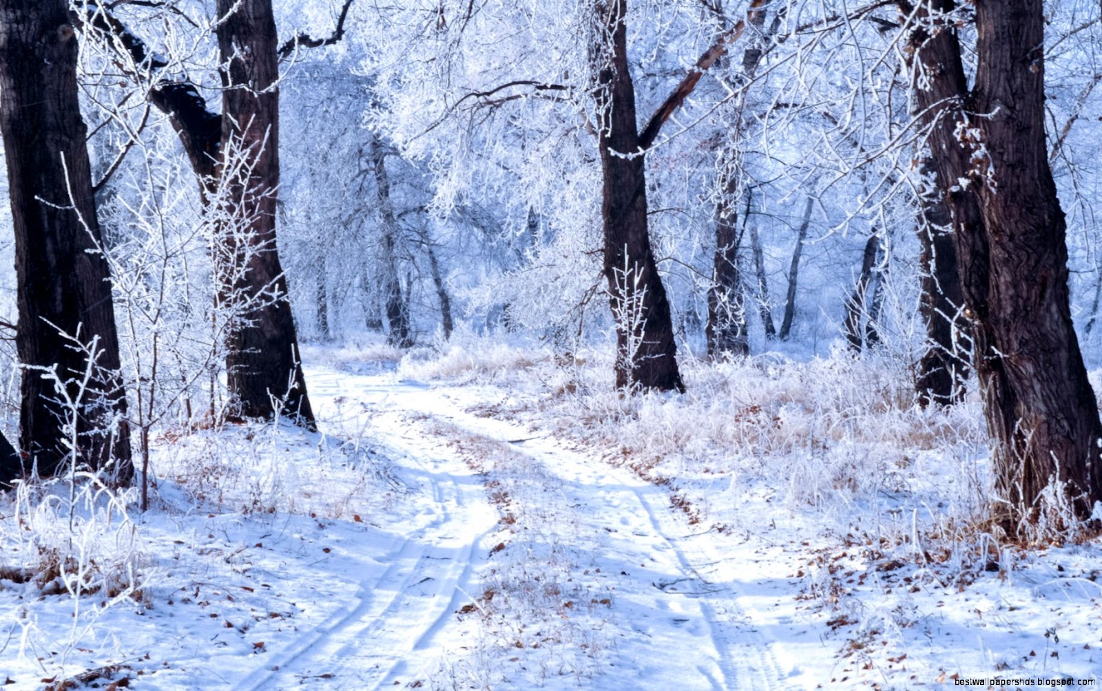 Free Winter Landscape Free Winter Landscape