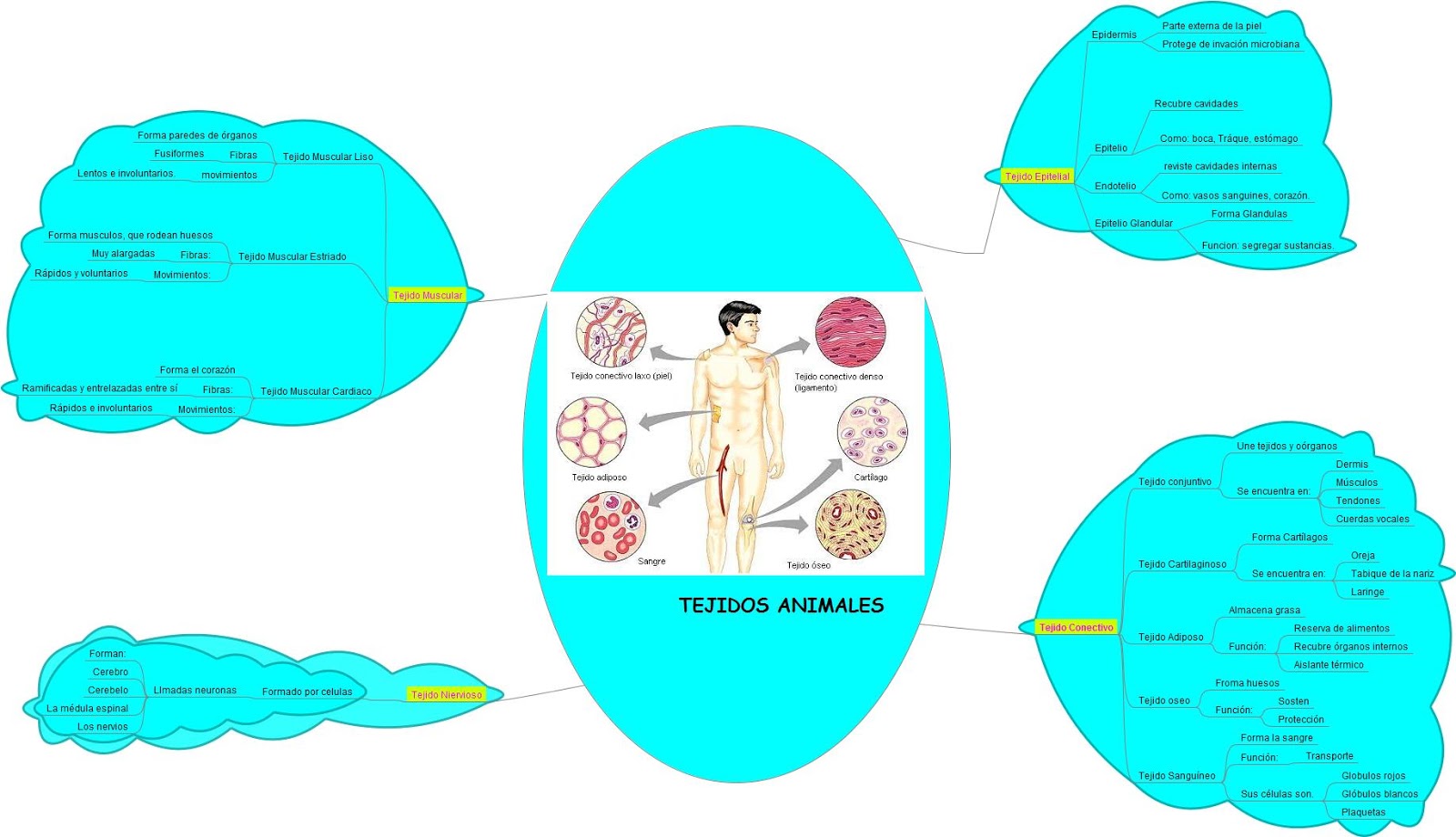 mapa mental freemind download mapa mental freemind download