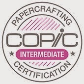 Copic Certification - Intermediate