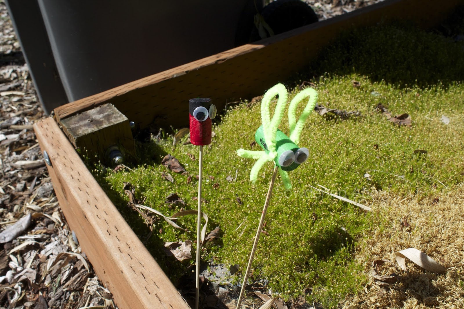 Sowdering About Garden Cork Bugs