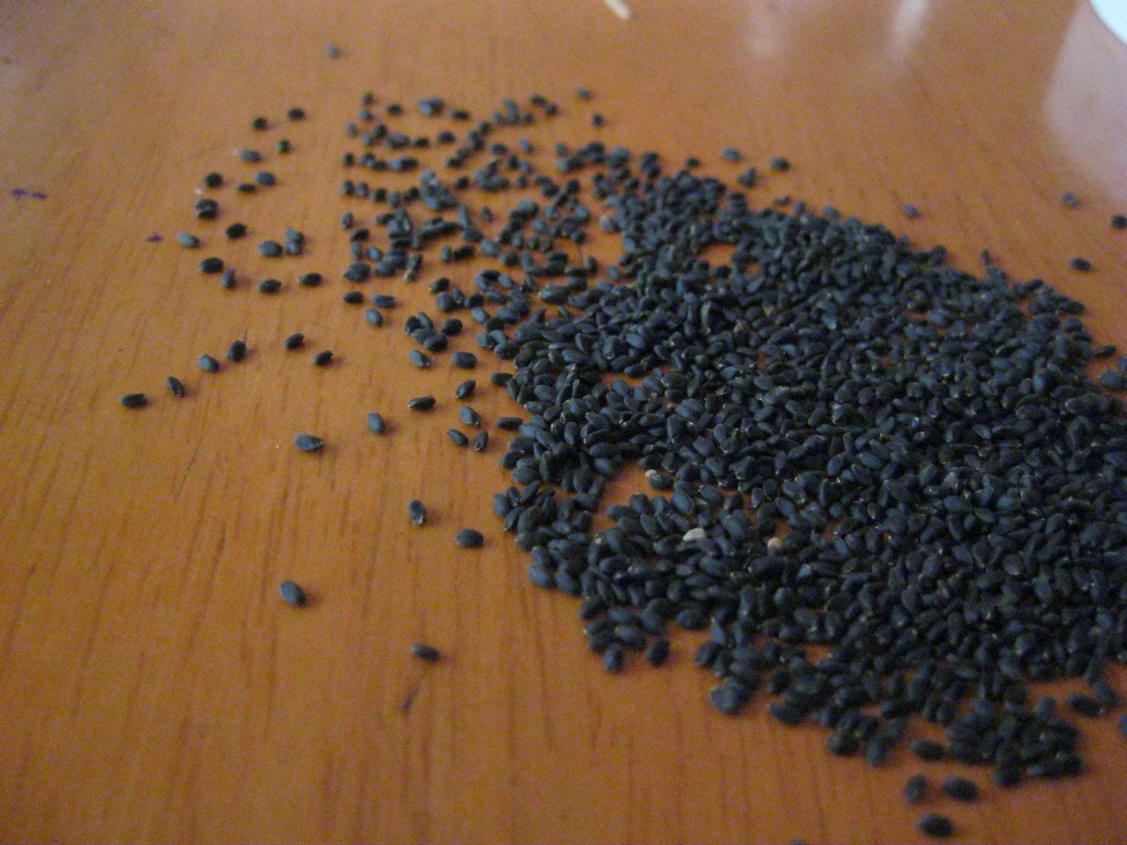 Mmm. Food. Falooda/Summer's here...