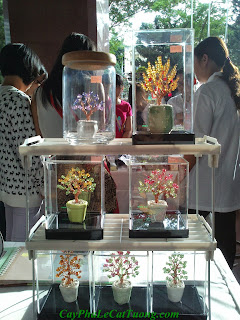 Cây pha lê Cát Tường tham gia hội chợ handmade DIY Crafts Fair Cây pha lê Cát Tường tham gia hội chợ handmade DIY Crafts Fair